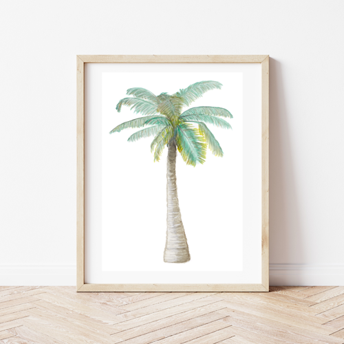 Palm Tree Print.